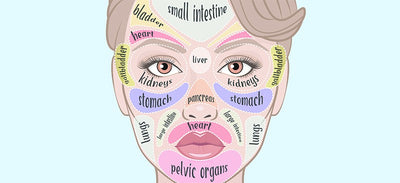 Recognizing The Body-Skin Connection